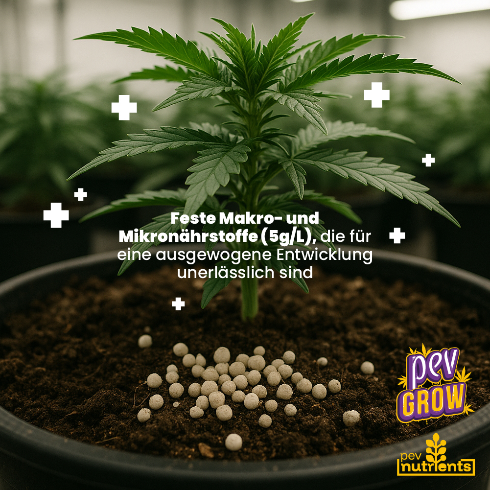 Terra Autoflower Pev Nutrients